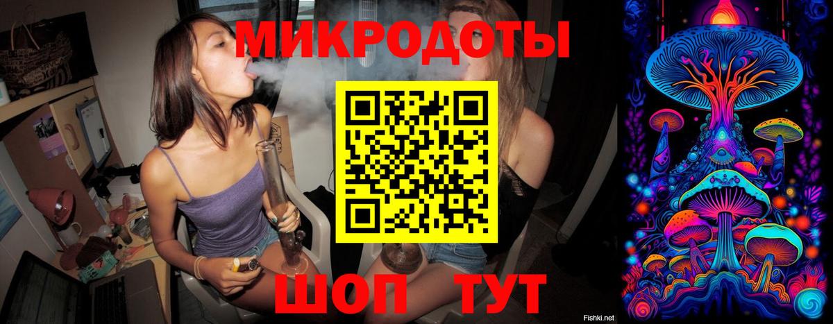Псилоцибиновые грибы Psilocybine cubensis  Вход с VPN  Майкоп 